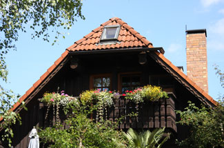 Whippets of mystical wooden house