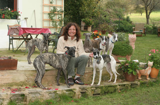 Whippets of mystical wooden house